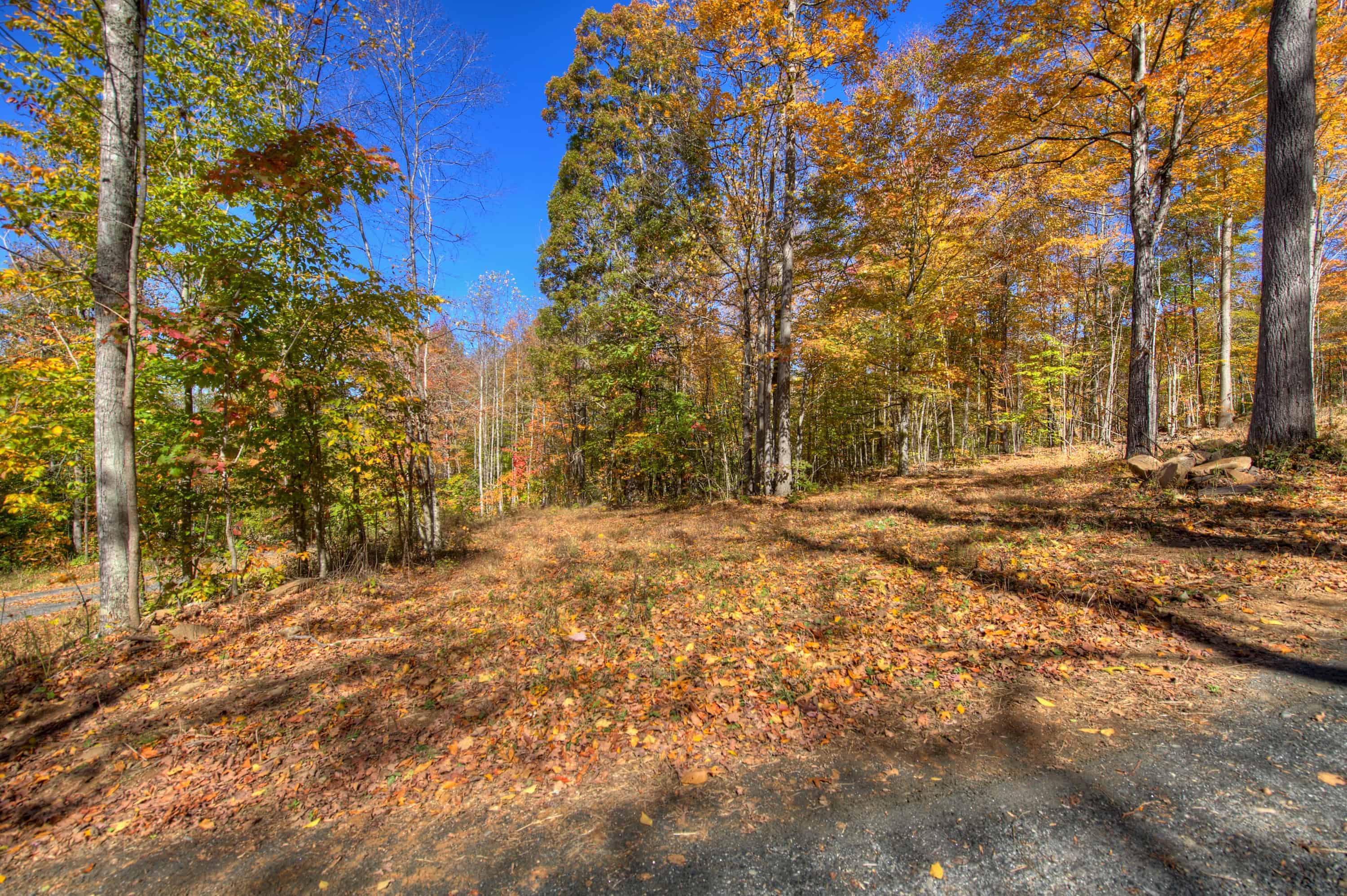 0 Pebble Ridge Road Spruce Pine NC 28777