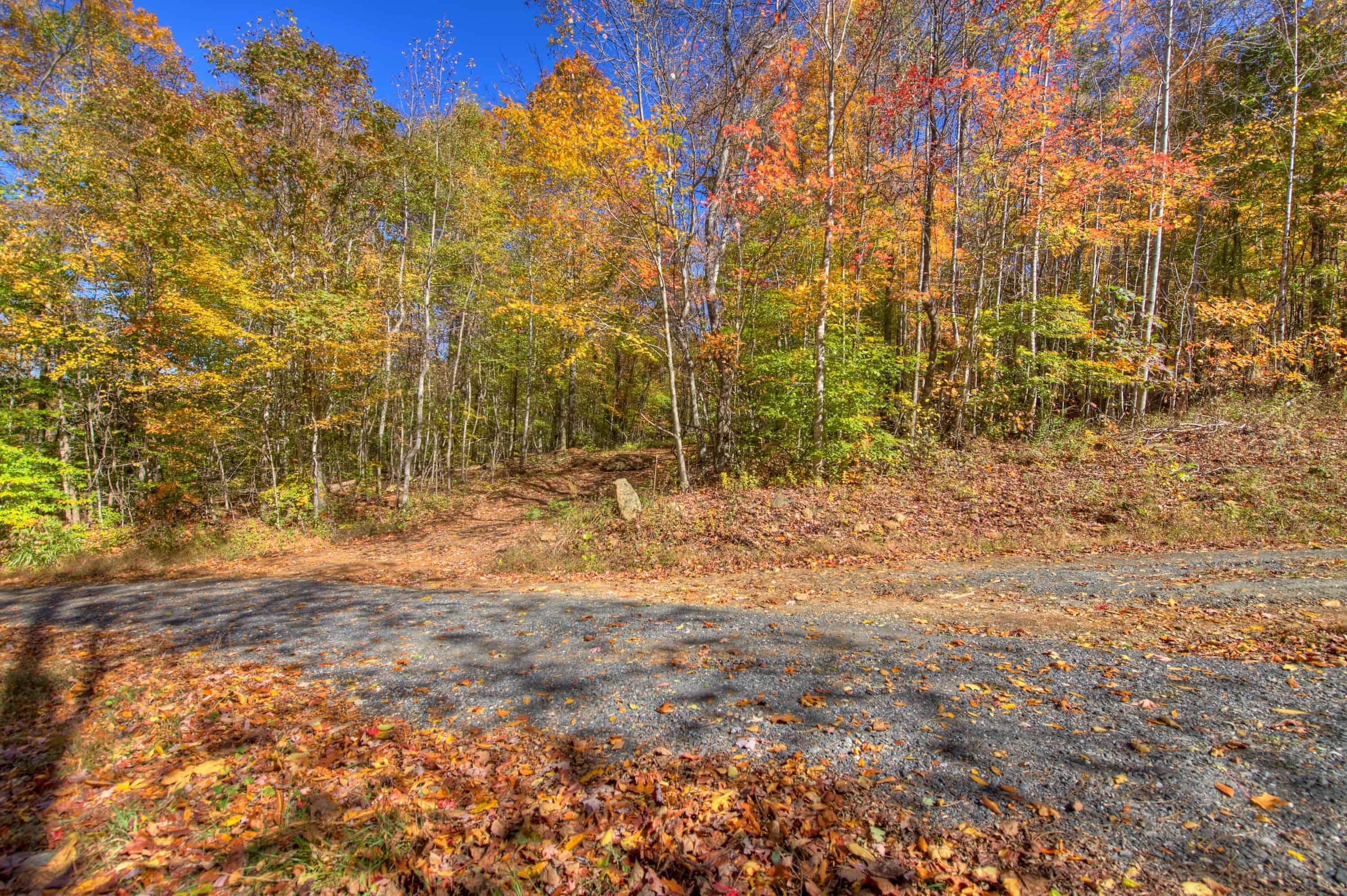 0 Pebble Ridge Road Spruce Pine NC 28777