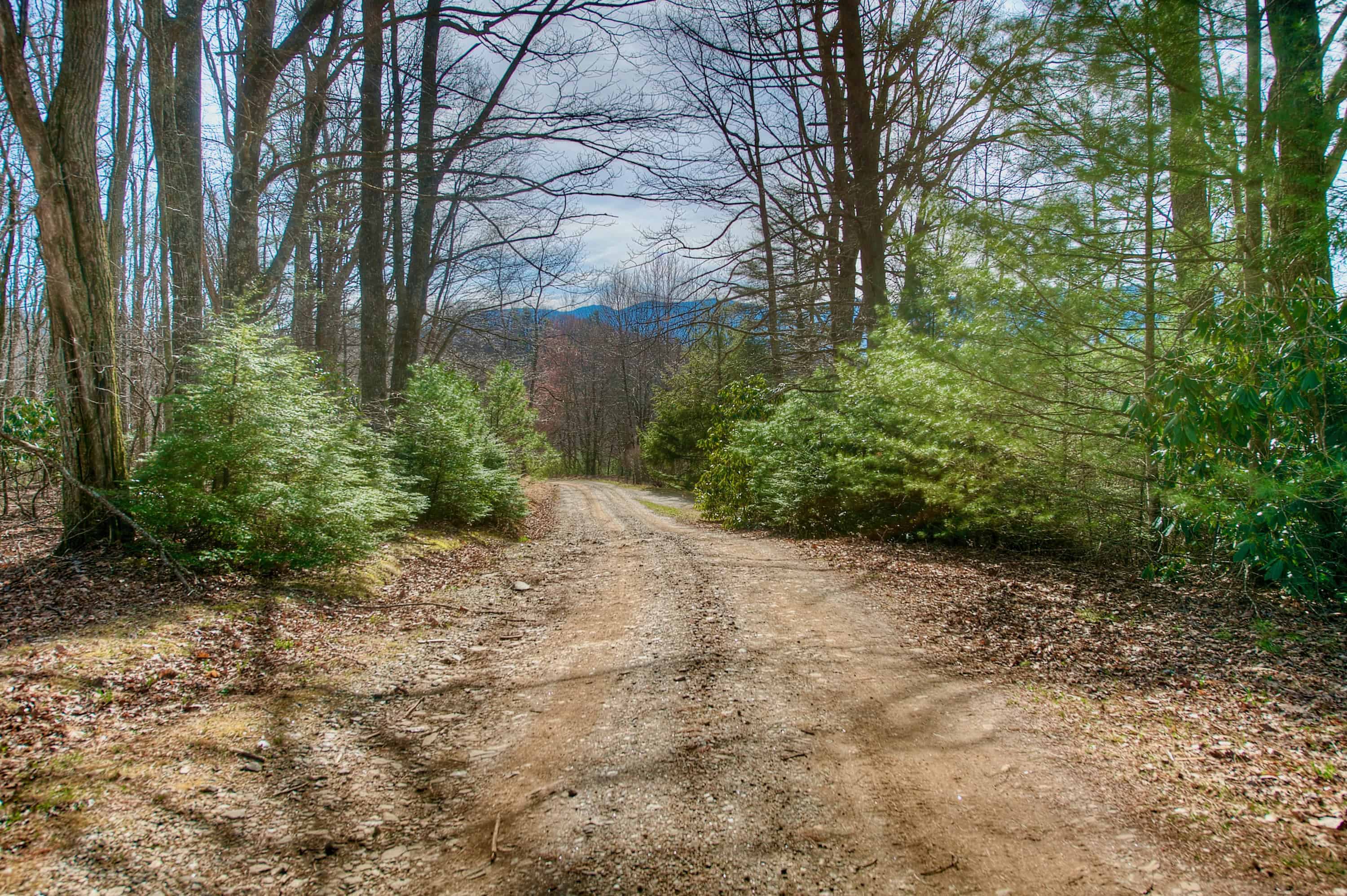 65 Blue Ridge Gem Mine Road Little Switzerland NC 28777