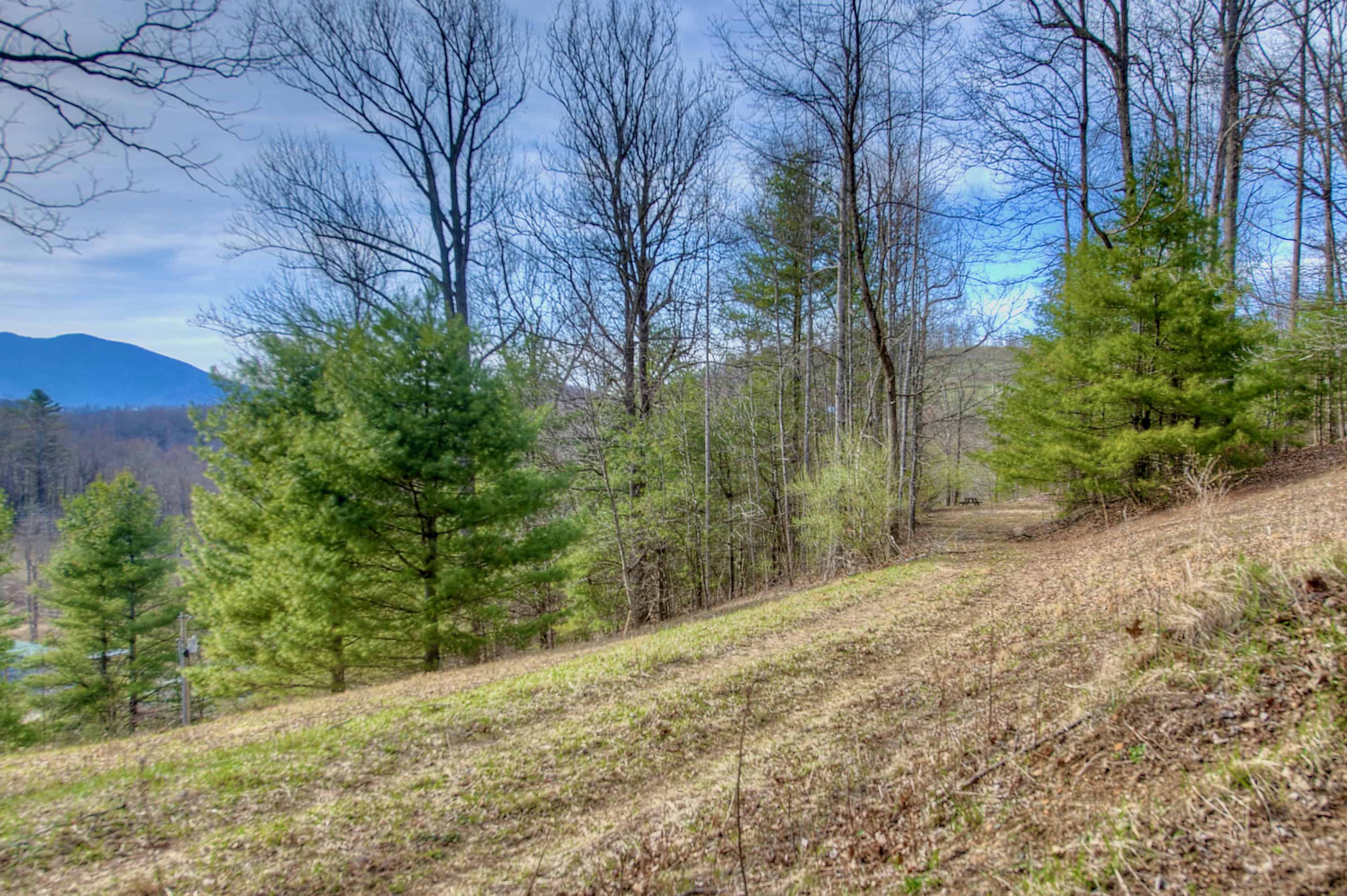 65 Blue Ridge Gem Mine Road Little Switzerland NC 28777