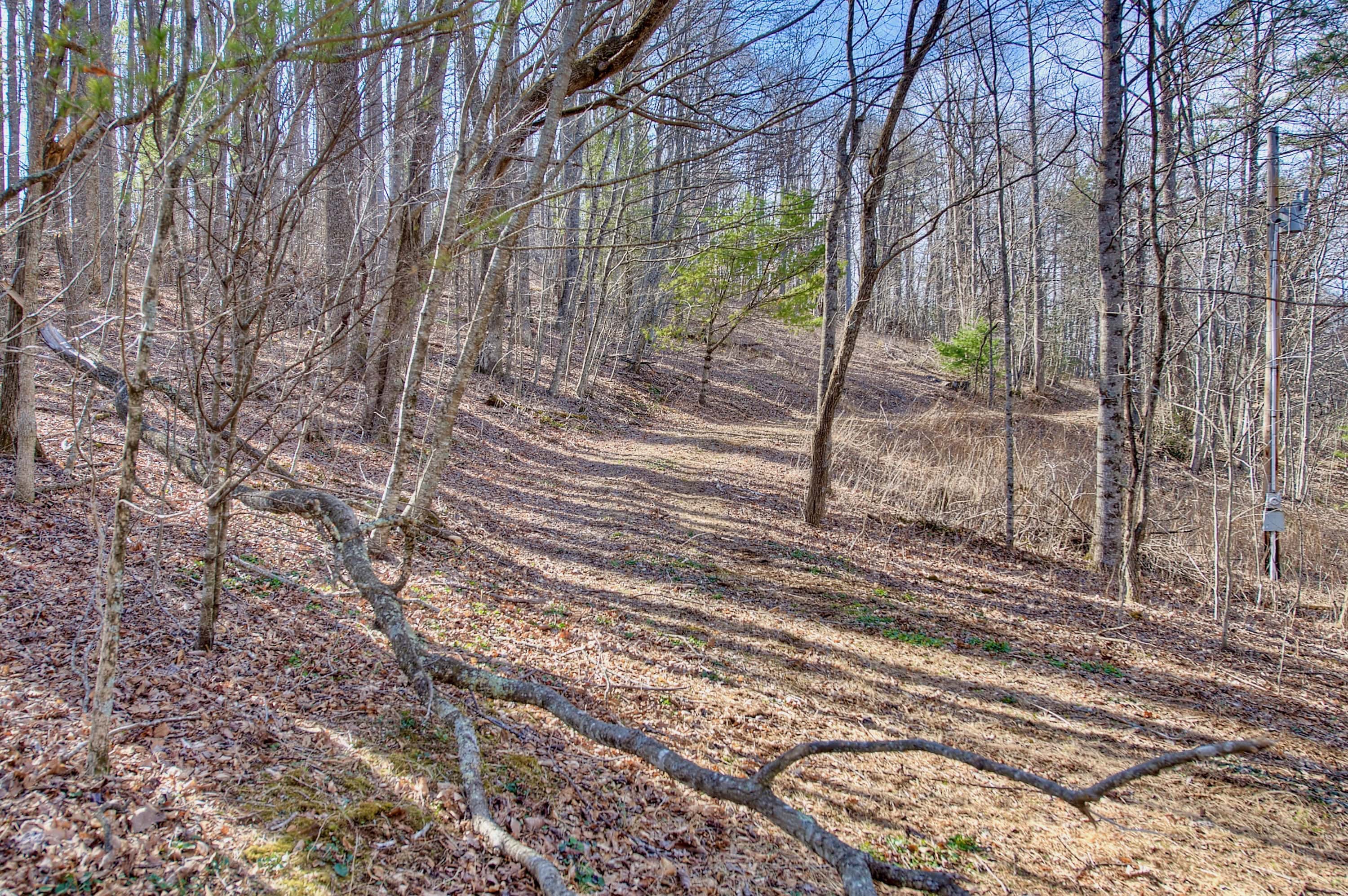 65 Blue Ridge Gem Mine Road Little Switzerland NC 28777