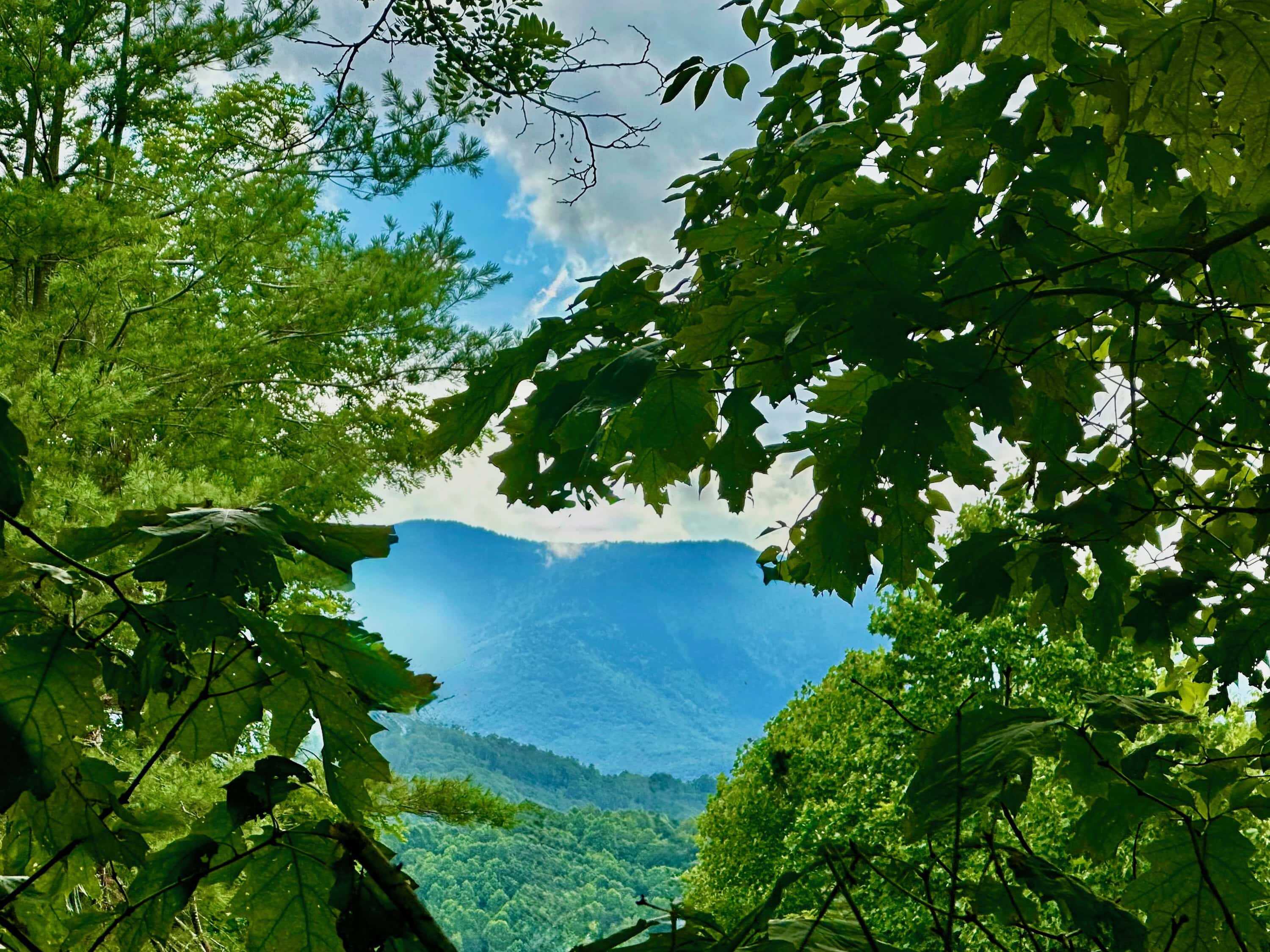65 Blue Ridge Gem Mine Road Little Switzerland NC 28777