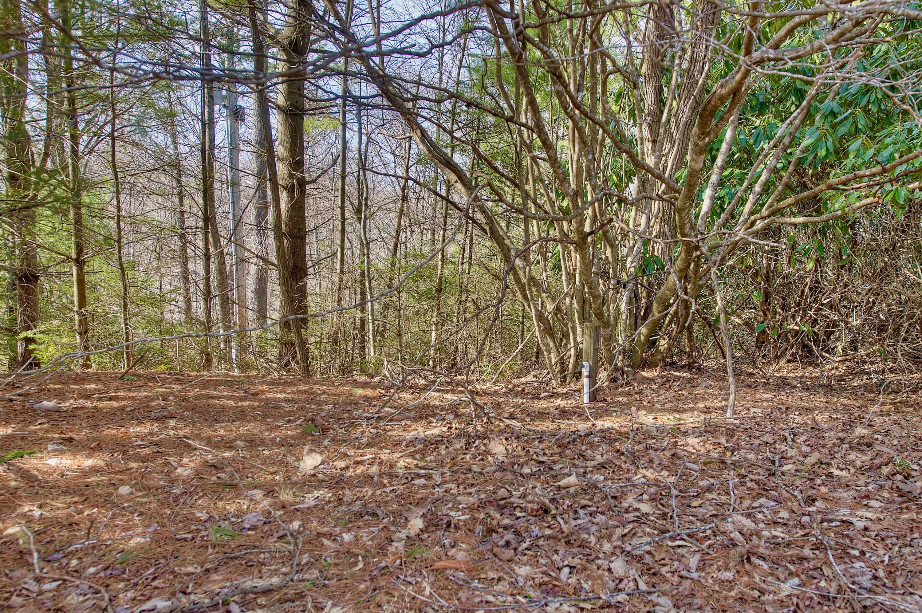 65 Blue Ridge Gem Mine Road Little Switzerland NC 28777